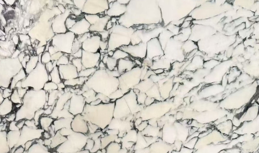 Calacatta Monet Marble